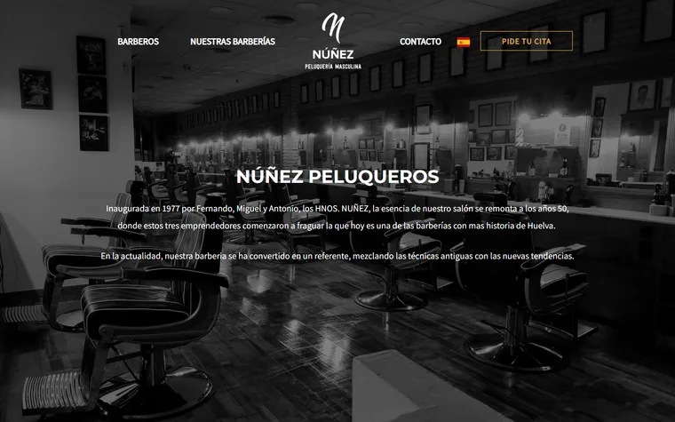 Captura de la web de HNZ Peluquería